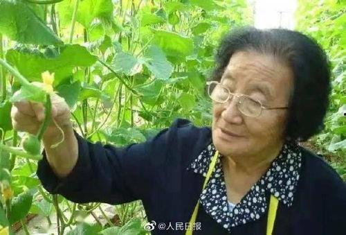 娱乐吃瓜酱广东人吃辣,揭秘广东人独特的辣味饮食文化