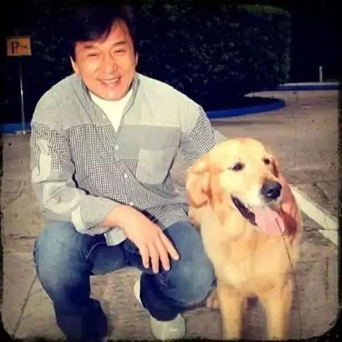 娱乐吃瓜酱大哥爱小狗,娱乐吃瓜酱大哥与小狗的温馨日常
