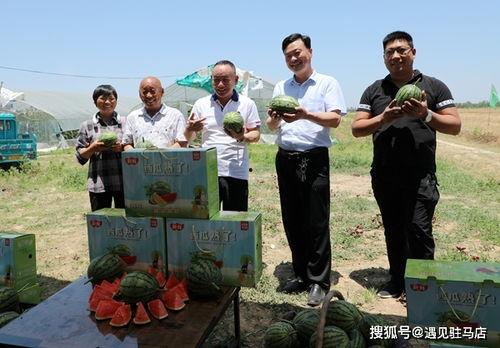 广州市吃瓜影视娱乐,解码城市光影盛宴