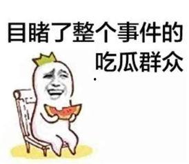 娱乐吃瓜酱中医象数,揭秘娱乐吃瓜酱背后的养生智慧