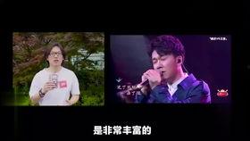 娱乐吃瓜群众歌曲大全播放,歌曲大全播放盘点