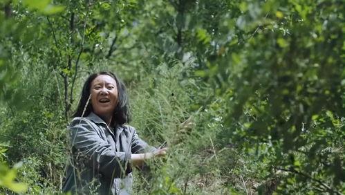 娱乐吃瓜笙,揭秘娱乐圈背后的那些事儿