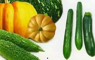 娱乐吃瓜009,吃瓜群众009的独家爆料