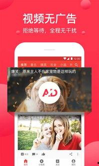 娱乐吃瓜文案视频下载,娱乐文案背后的下载狂潮