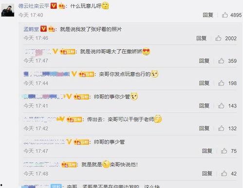 娱乐吃瓜798网址在线观看,独家在线观看盛宴