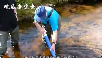 娱乐吃瓜老少女,吃瓜群众眼中的老少女神风采