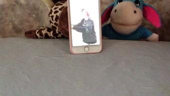 娱乐吃瓜小羊,揭秘娱乐圈那些不为人知的幕后故事