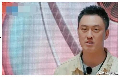 娱乐圈吃瓜爆料有成毅吗