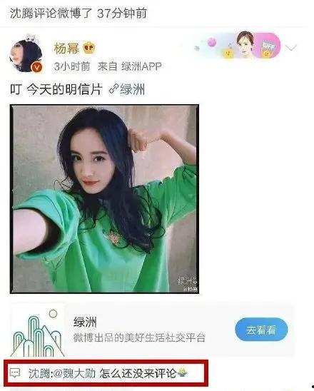 娱乐圈吃瓜人小说,瓜田里的秘密风云